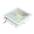 100W Neue Produkte LED Flood Light High Power Weiß